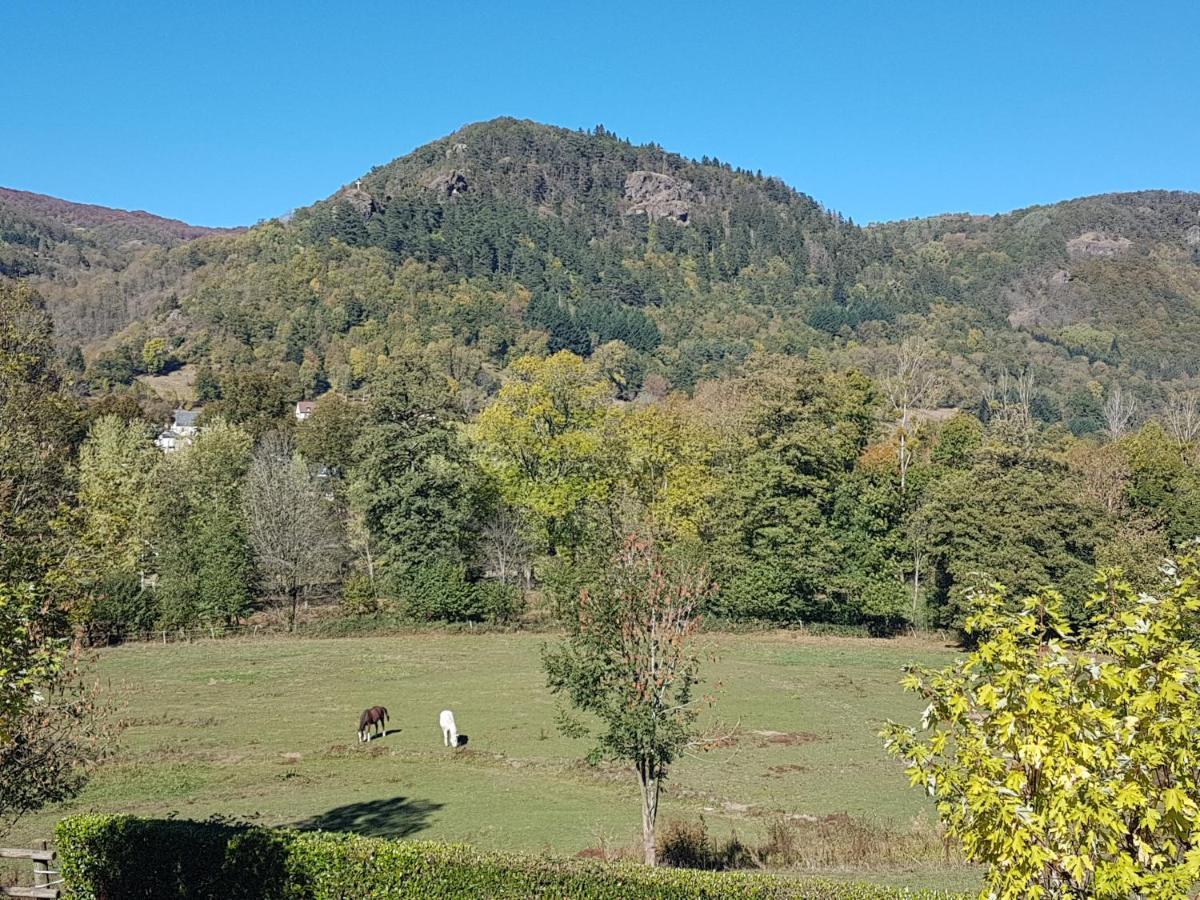 Le Kino Panorama Bed & Breakfast วิค-ซูร์-แซร์ ภายนอก รูปภาพ
